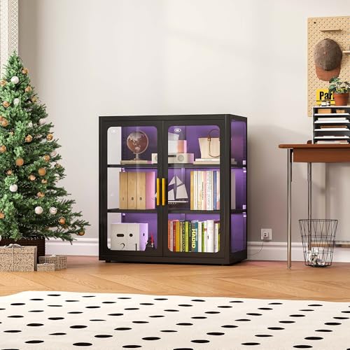 Glass Cabinet Display - Koleksiyon Eşyaları için Cam Kapılı ve