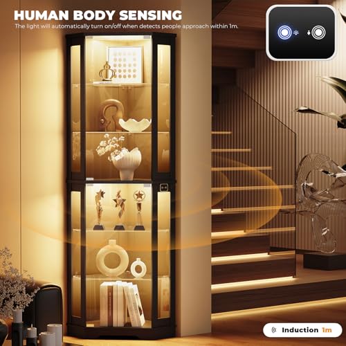 71 inç Yüksekliğinde LED Işıkl - Glass Cabinet Display incelemesi ve fiyatı